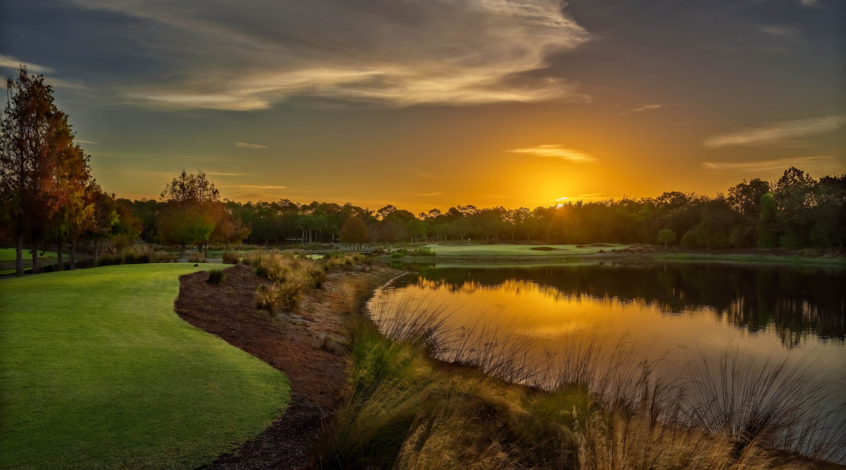 Tiburón Golf Club The Ultimate Golf Experience.