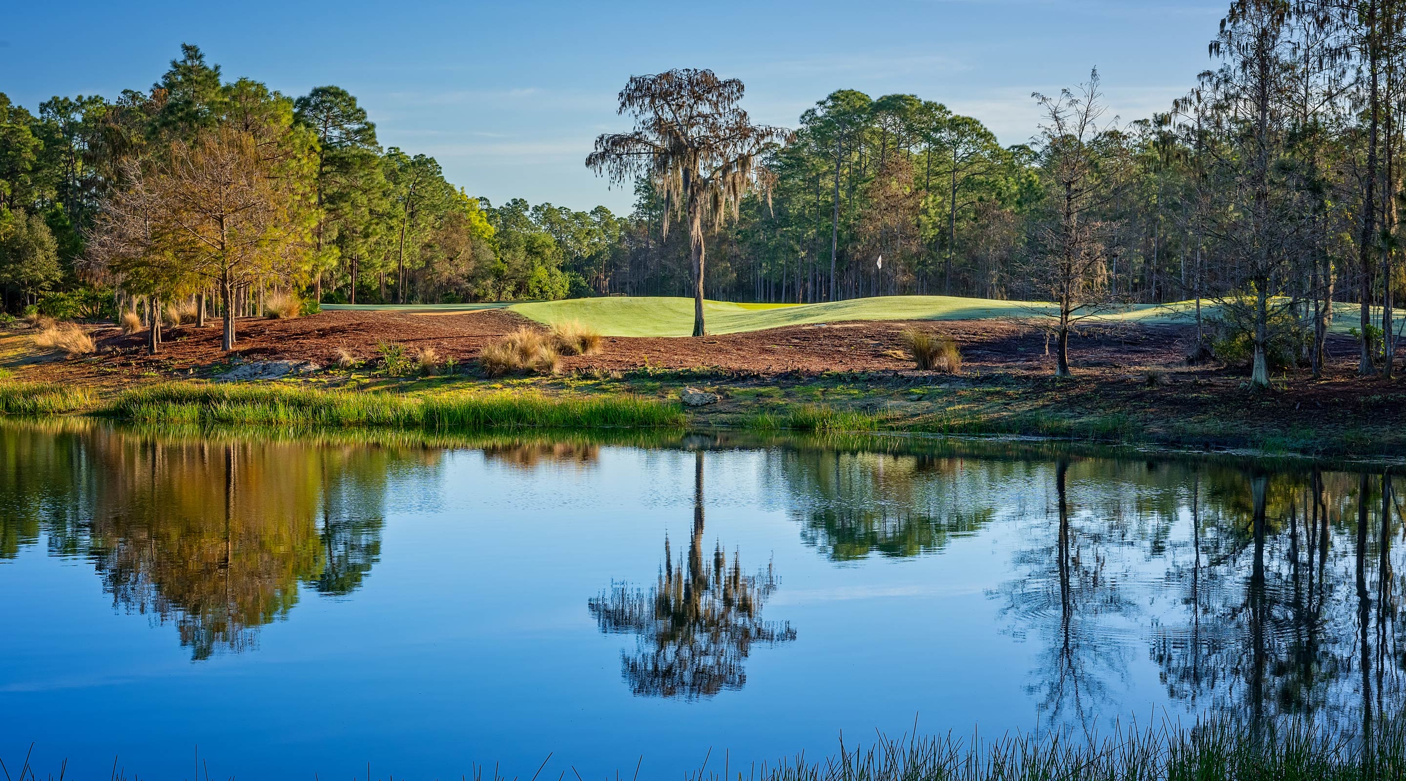 Tiburón Golf Club The Ultimate Golf Experience.