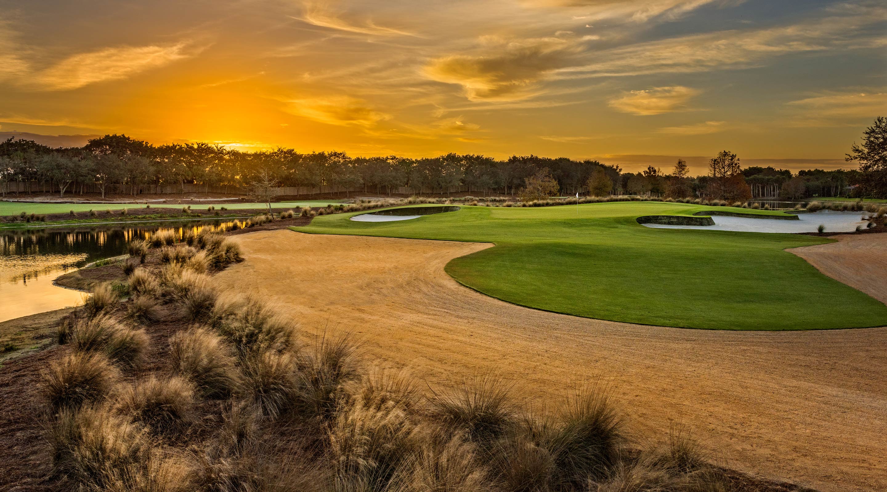 Tiburón Golf Club The Ultimate Golf Experience.